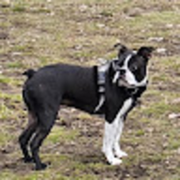 Meet your Posher, Justin - Picture 1 of 1